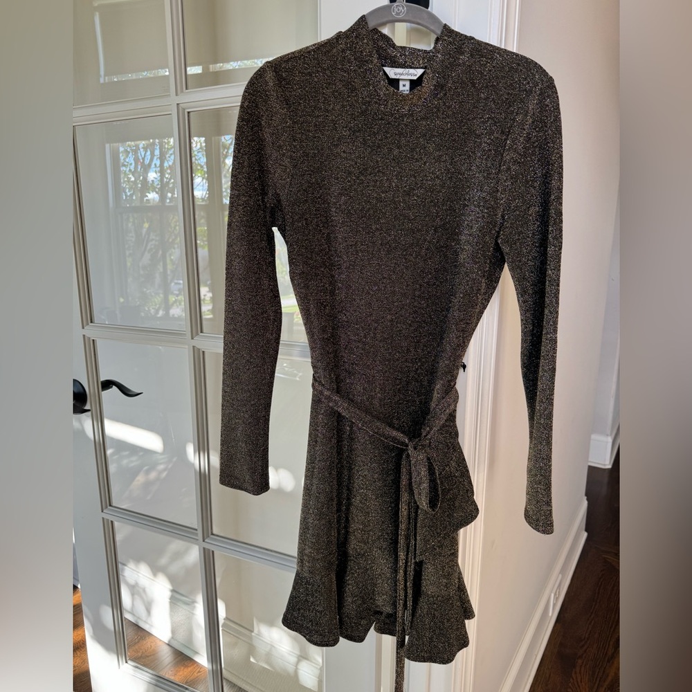 Gold/Black Shimmery Long Sleeve Dress